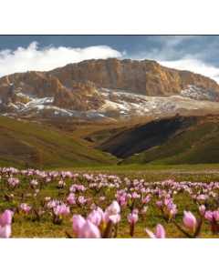 Майский Азербайджан